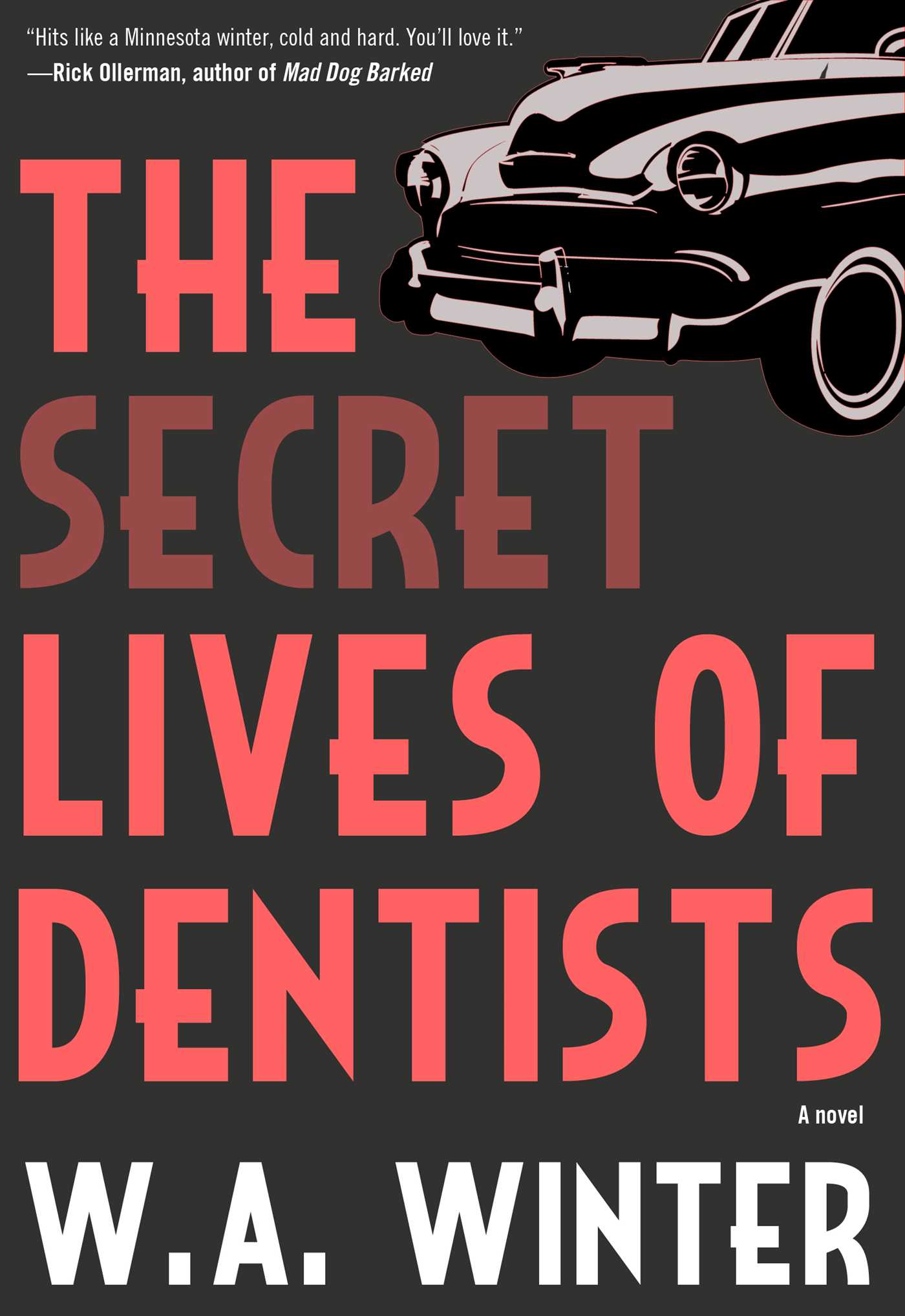 The Secret Lives of Dentists by W.A. Winter