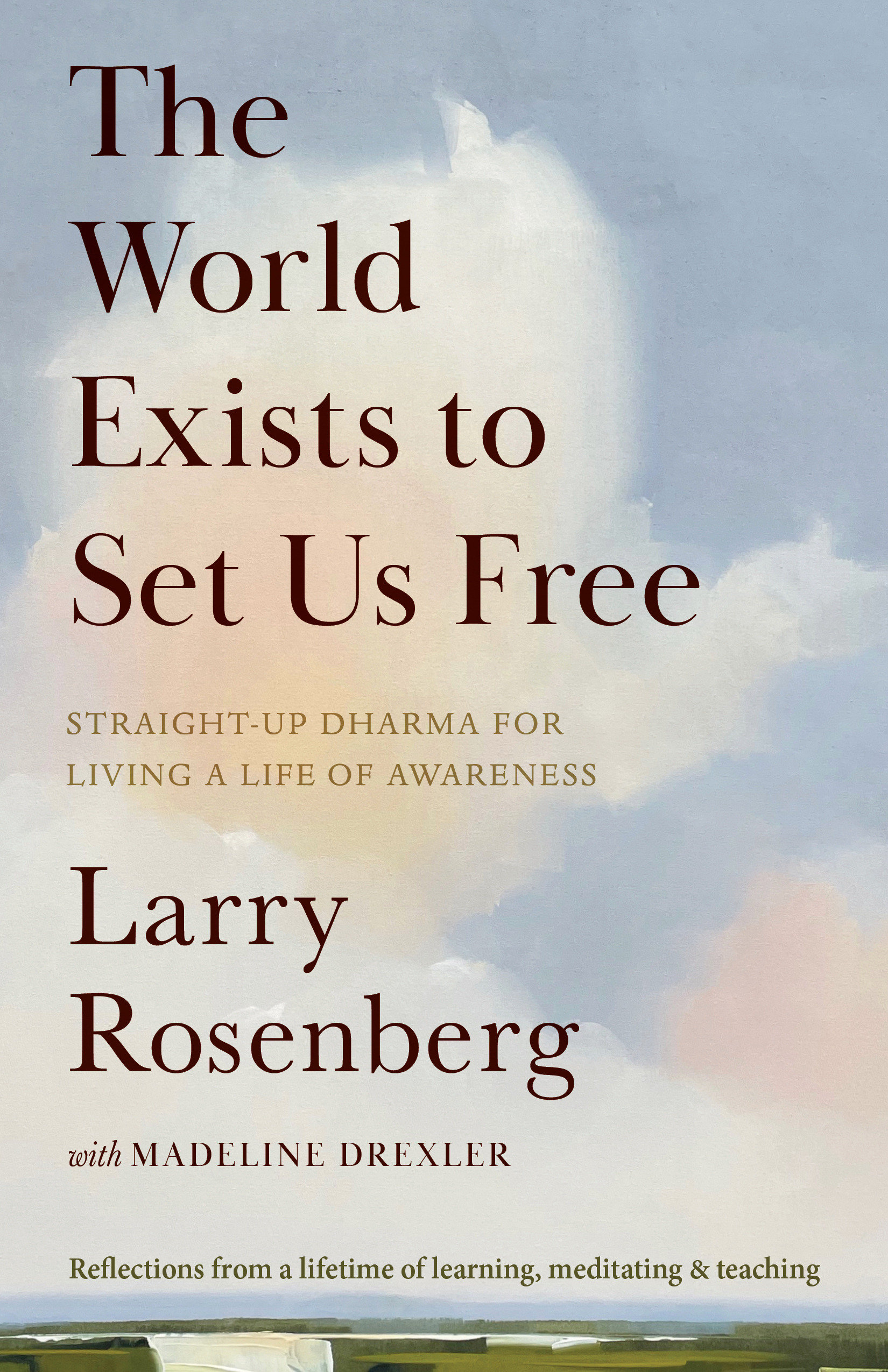 The World Exists to Set US Free by Larry Rosenberg