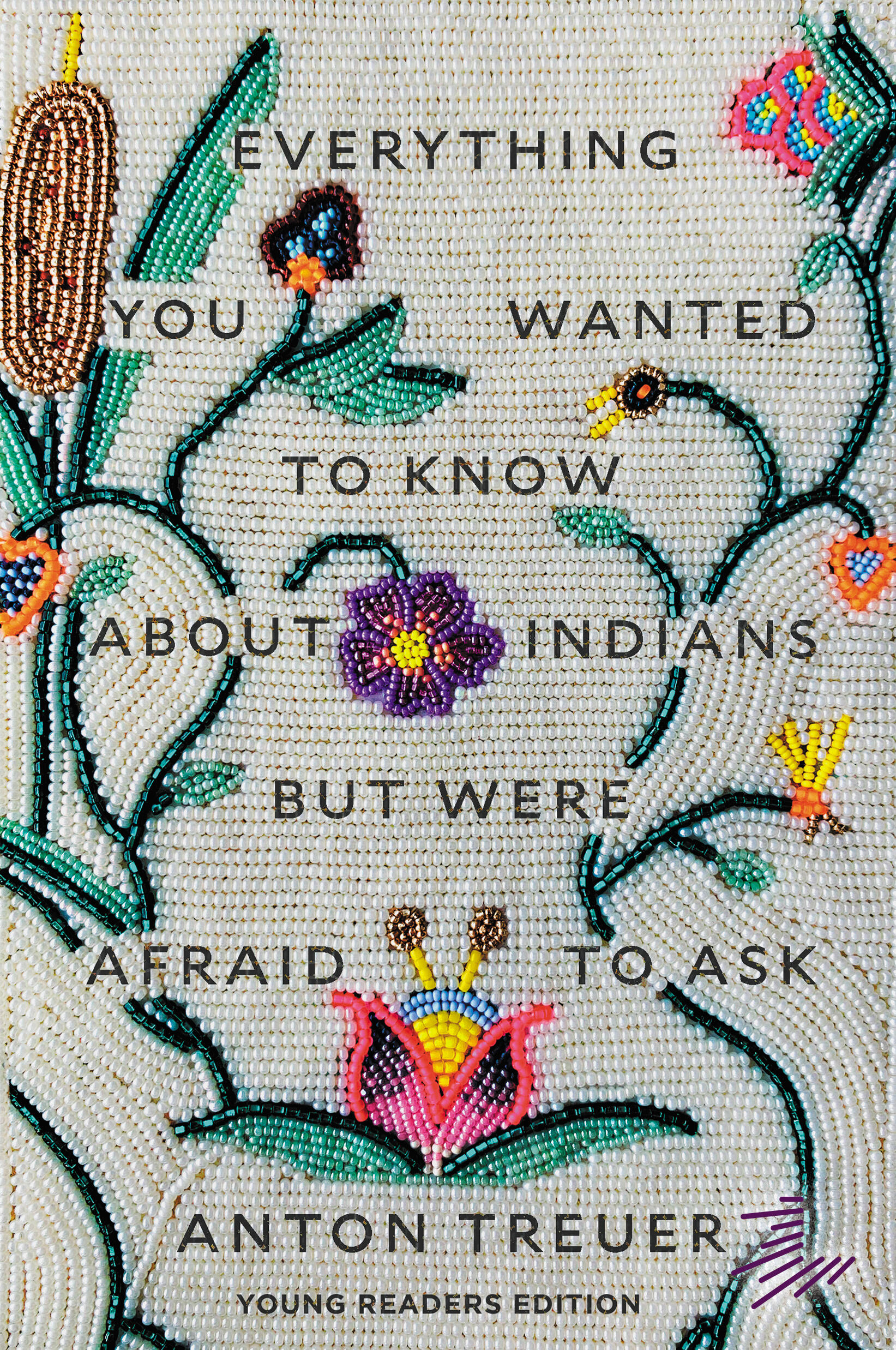Everything You Wanted to Know About Indians But Were Afraid to Ask by Anton Treuer