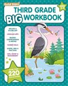 3rd Grade BIG Workbook All Subjects for Kids 8 - 9 Includes 220+ Activities, Spelling, Grammar, Reading Comprehension, Writing, Math, and More