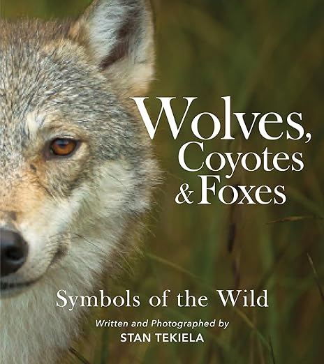 Wolves, Coyotes & Foxes by Stan Tekiela