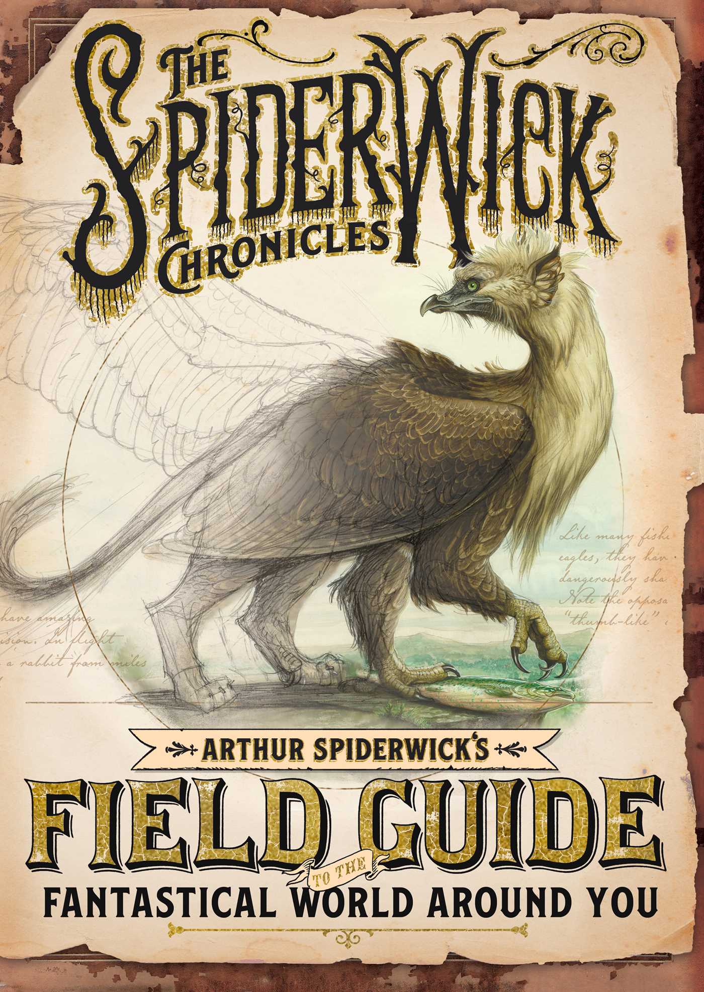 Arthur Spiderwick's Field Guide to the Fantastical World Around You by Tony DiTerlizzi