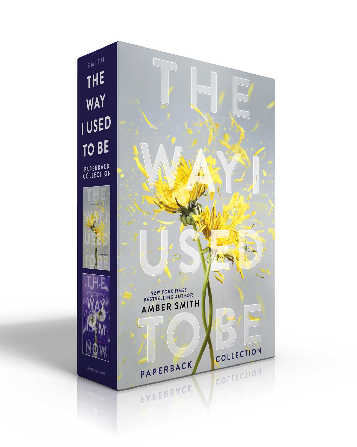 The Way I Used to Be Paperback Collection (boxed Set) by Amber Smith