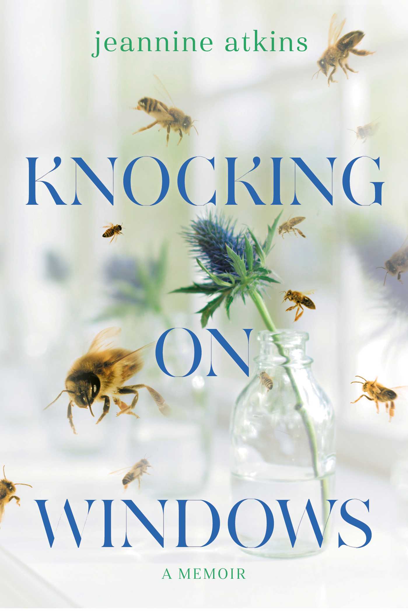 Knocking on Windows by Jeannine Atkins