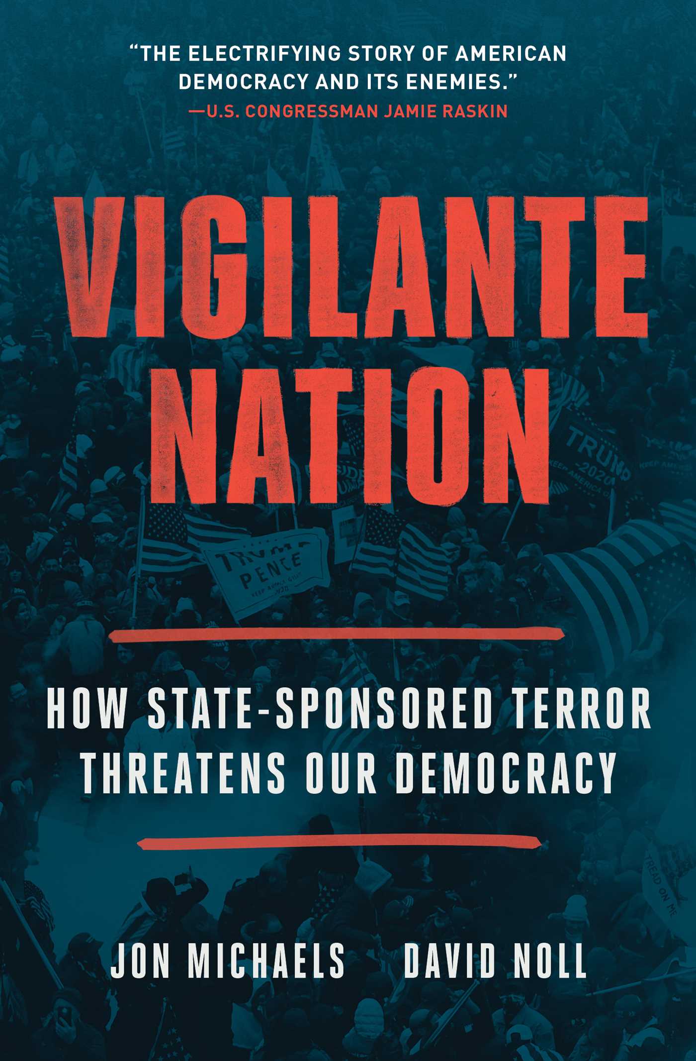 Vigilante Nation by Jon Michaels