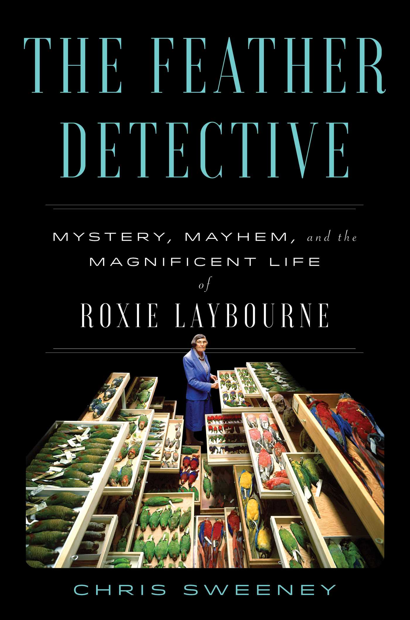 The Feather Detective by Chris Sweeney