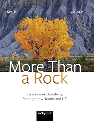More Than a Rock, 2nd Edition by Guy Tal