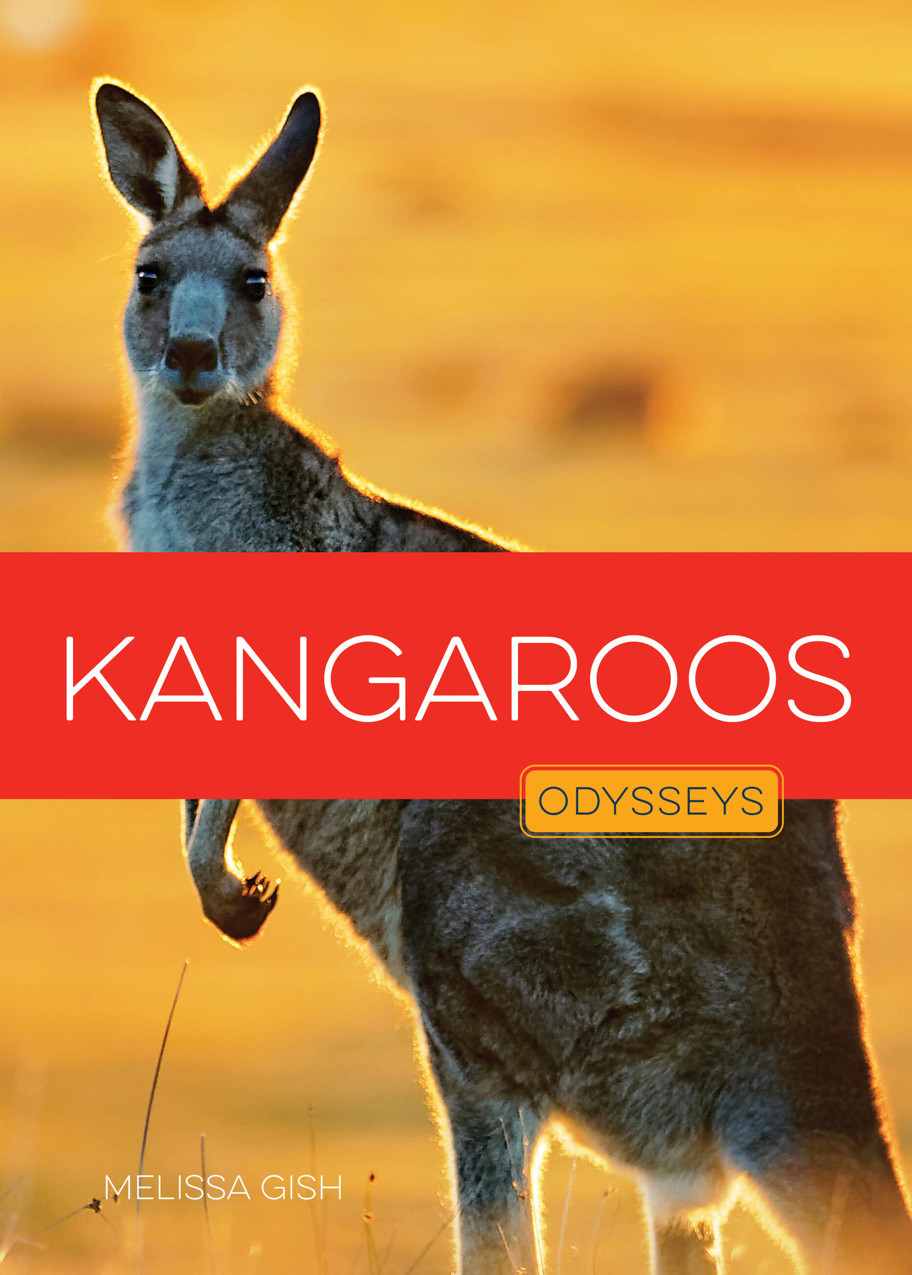 Kangaroos by Melissa Gish