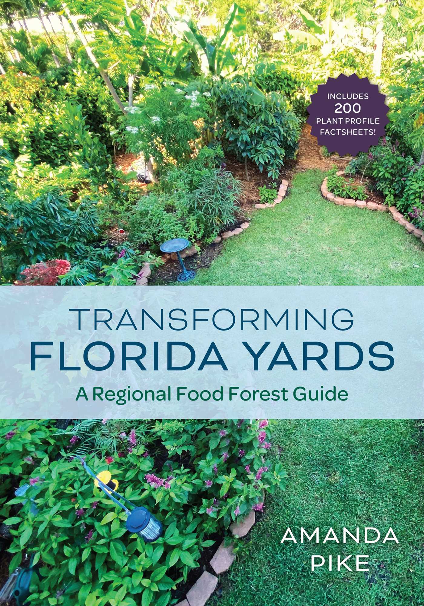 Transforming Florida Yards by Amanda Pike