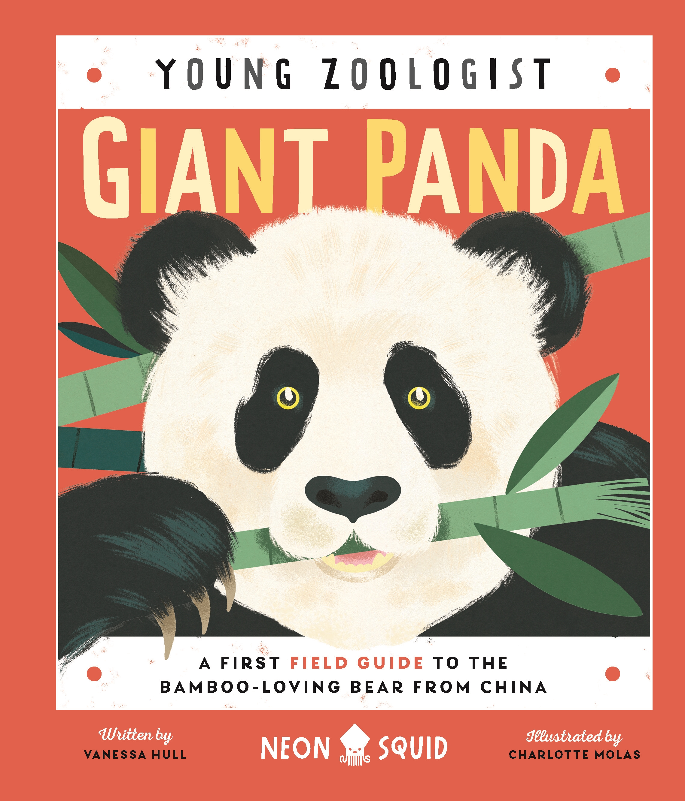 Giant Panda (young Zoologist) by Vanessa Hull