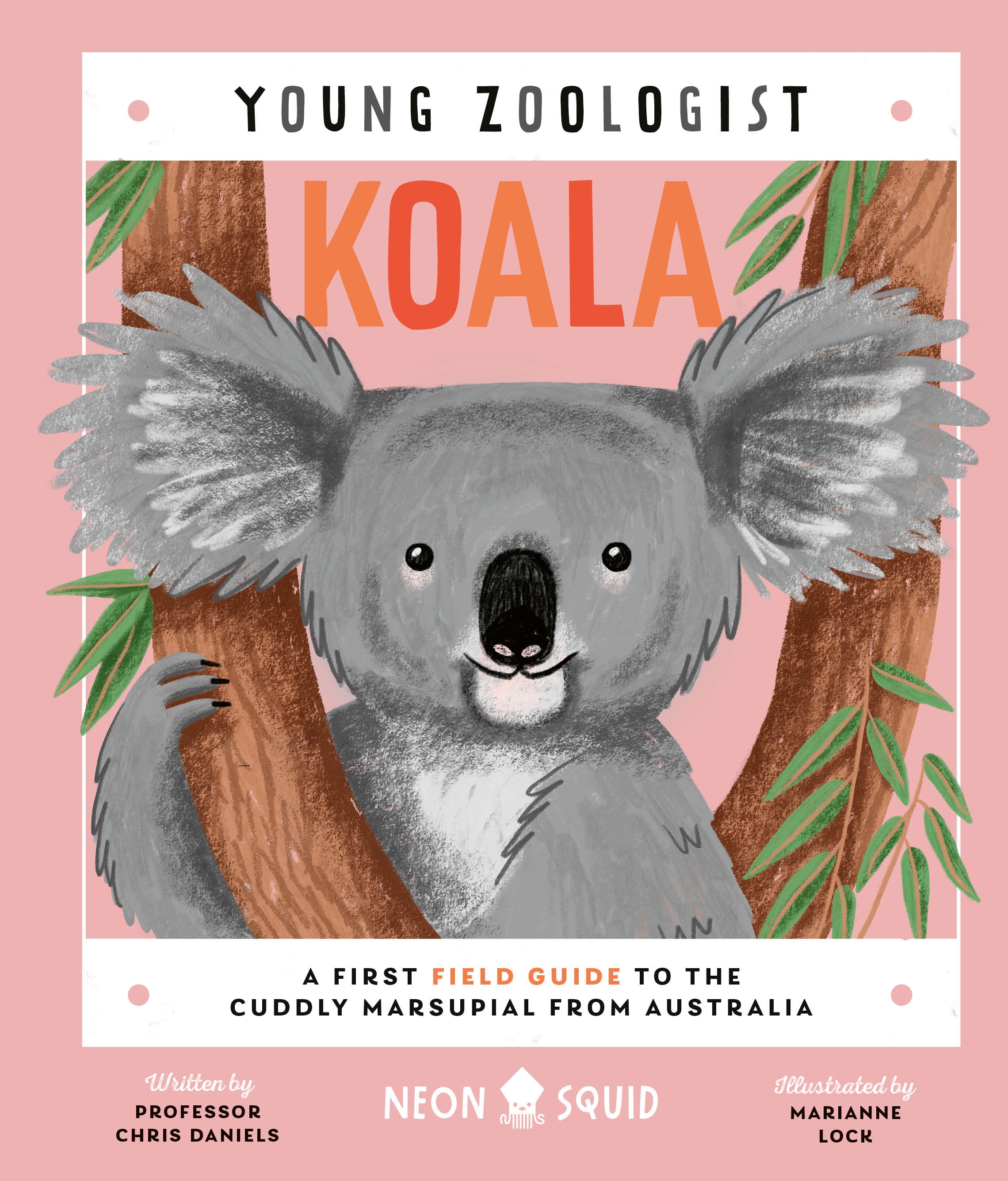 Koala (young Zoologist) by Chris Daniels