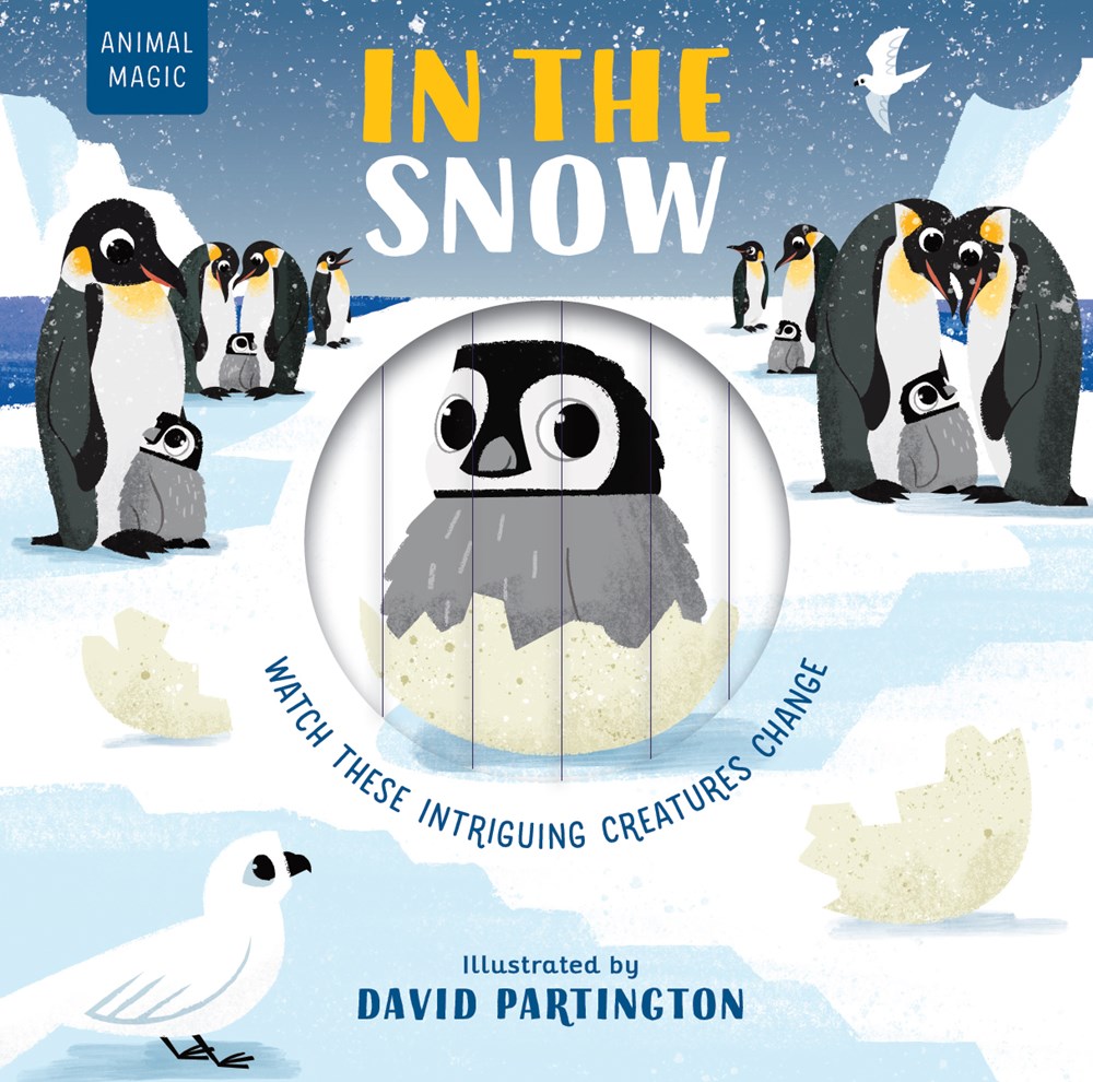 In the Snow by Harriet Stone