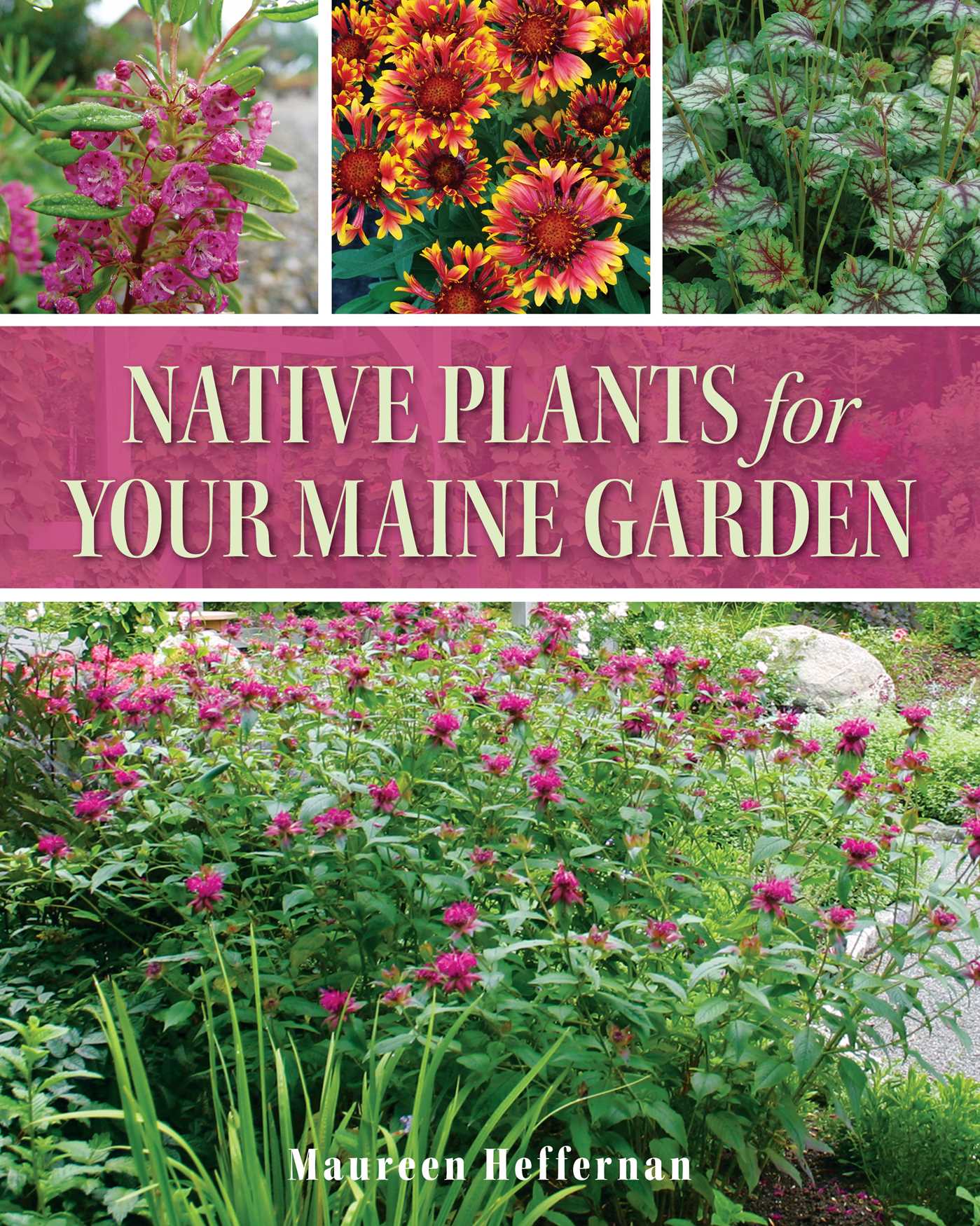 Native Plants for Your Maine Garden by Maureen Heffernan