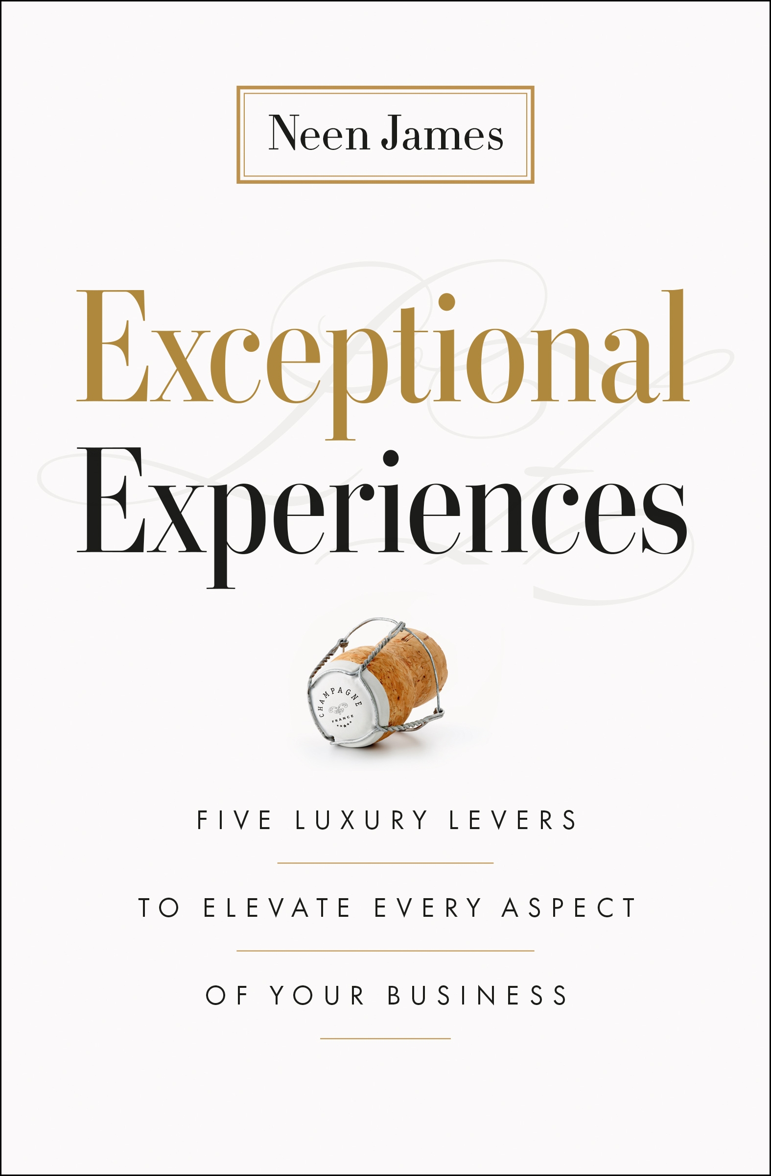 Exceptional Experiences by Neen James