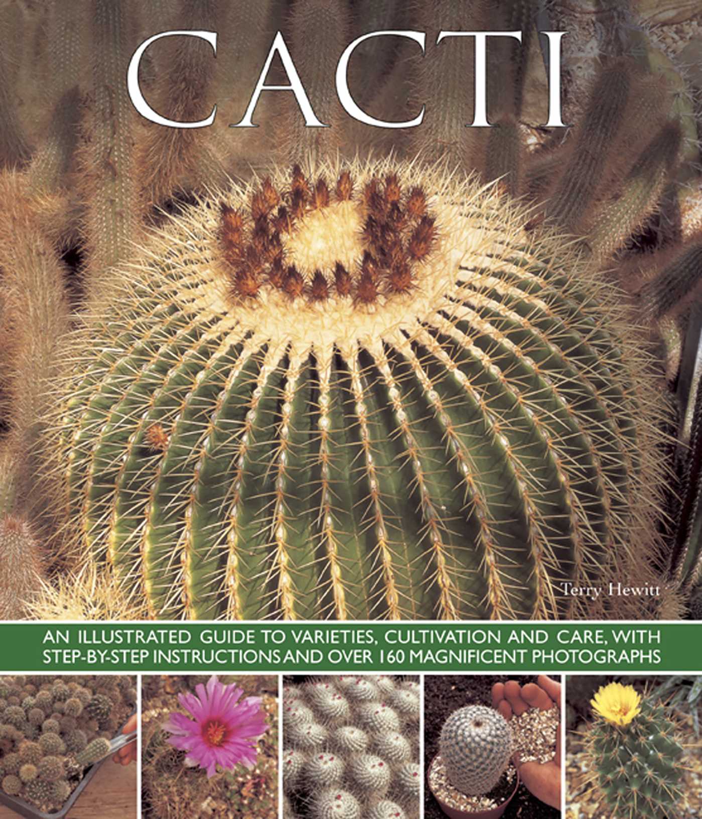 Cacti by Terry Hewitt
