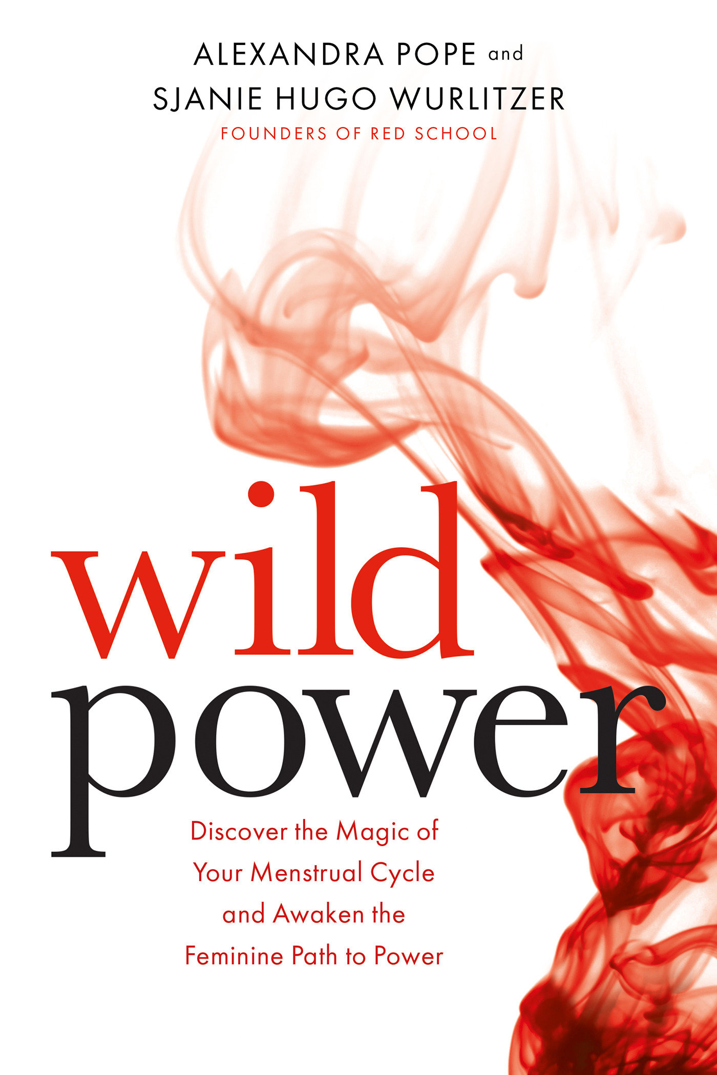 Wild Power by Sjanie Hugo Wurlitzer