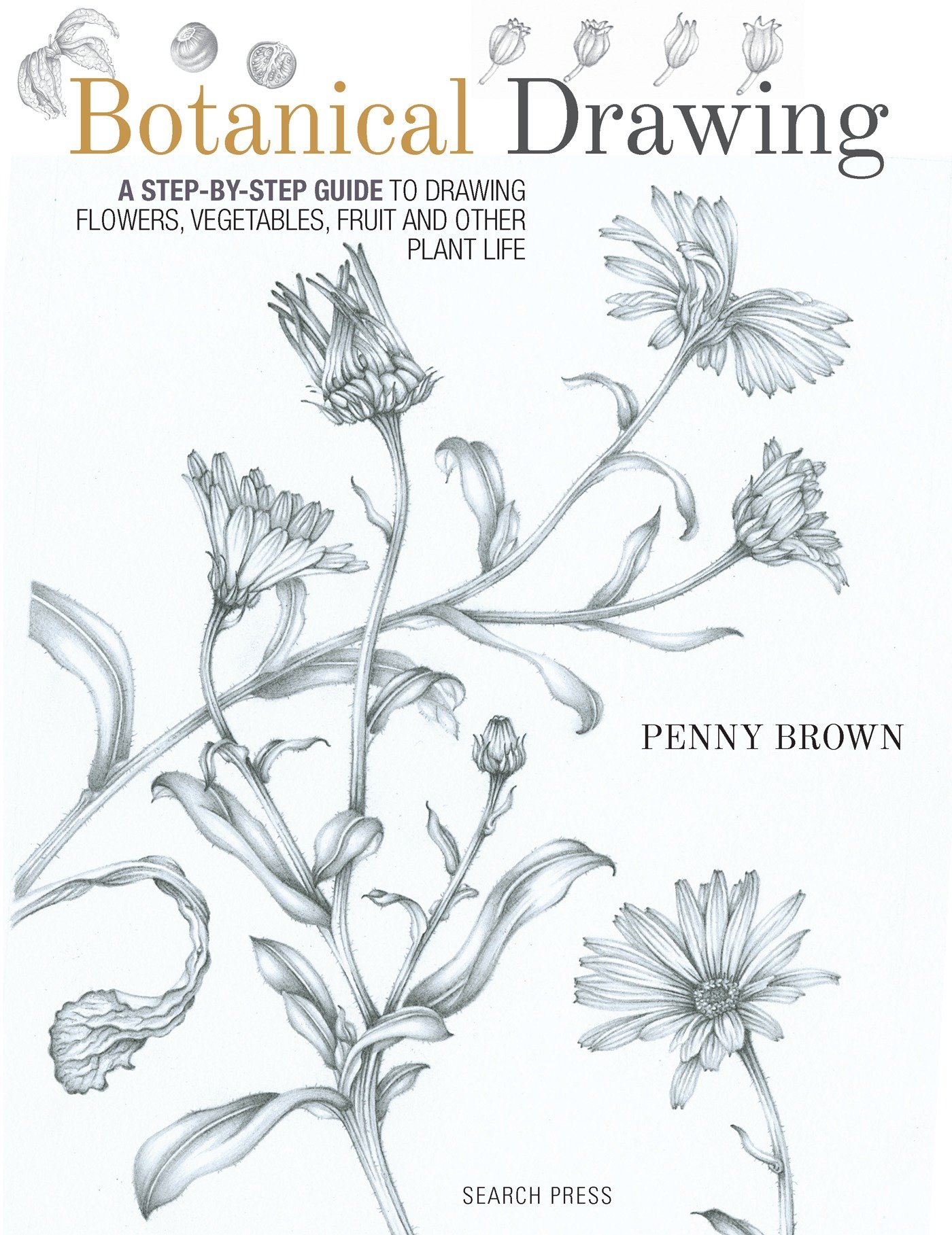 Botanical Drawing by Penny Brown