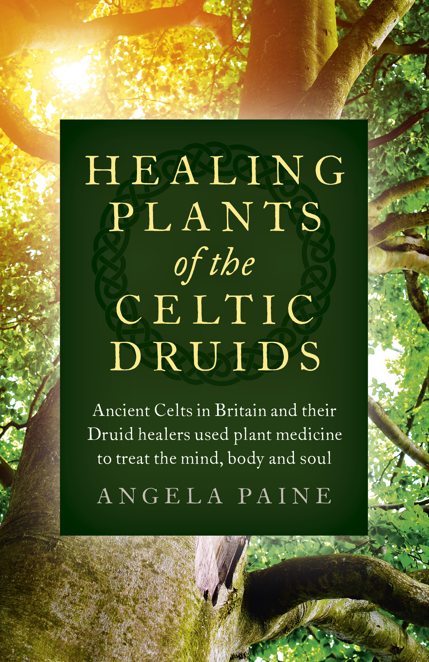 Healing Plants of the Celtic Druids by Angela Paine
