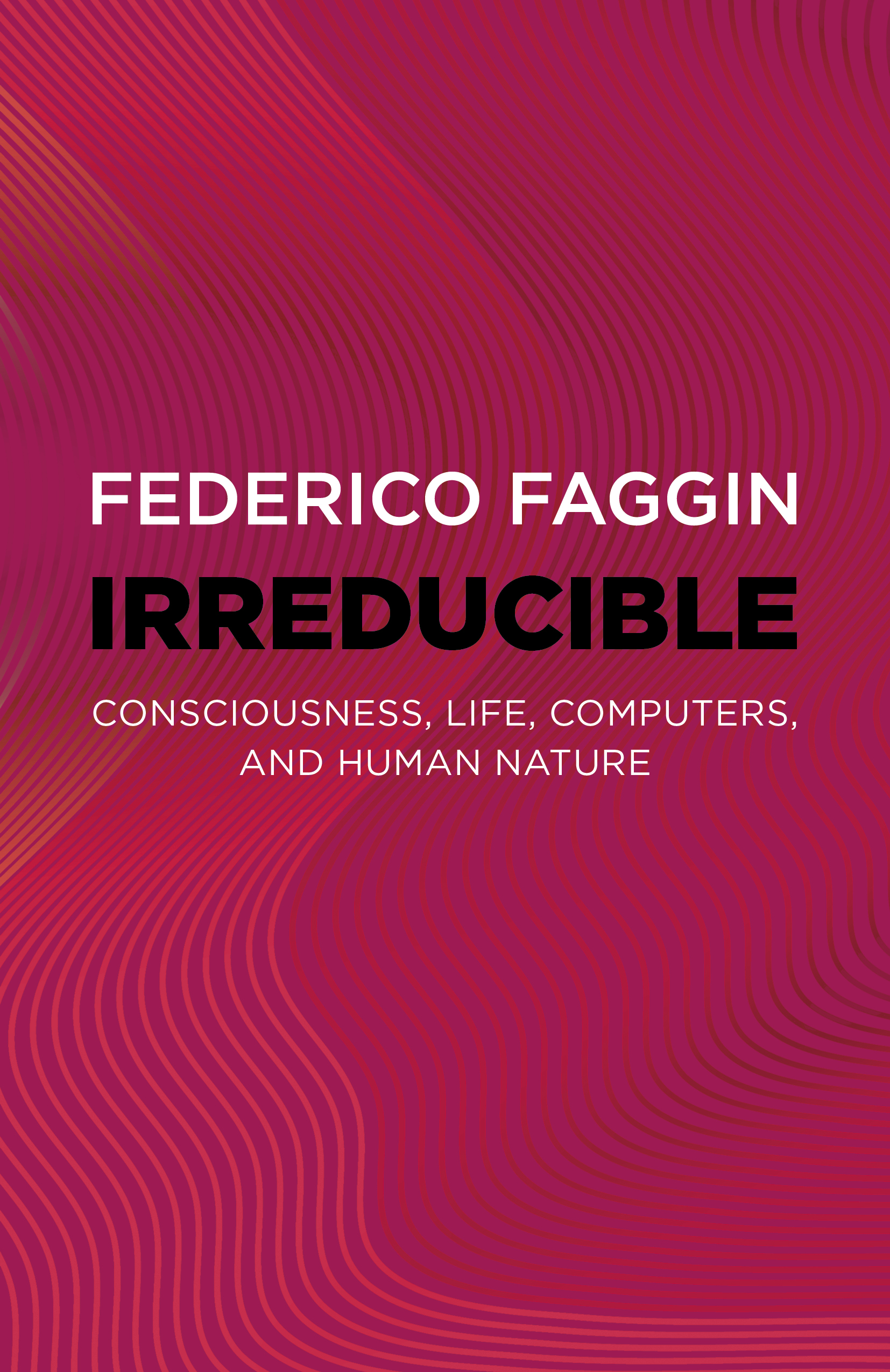 Irreducible by Federico Faggin