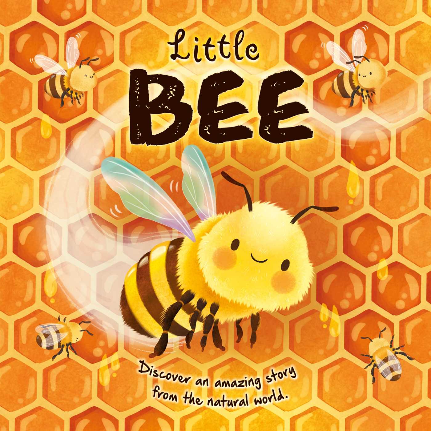 Nature Stories: Little Bee-discover an Amazing Story From the Natural World by IglooBooks