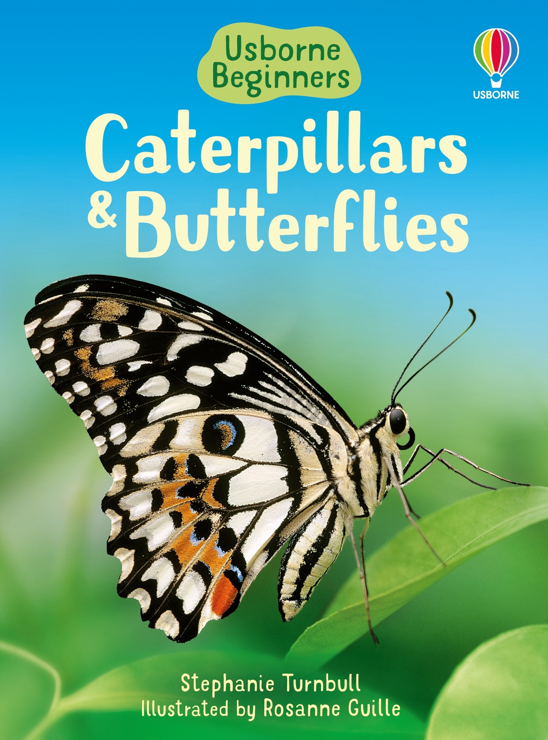 Caterpillars and Butterflies by Stephanie Turnbull