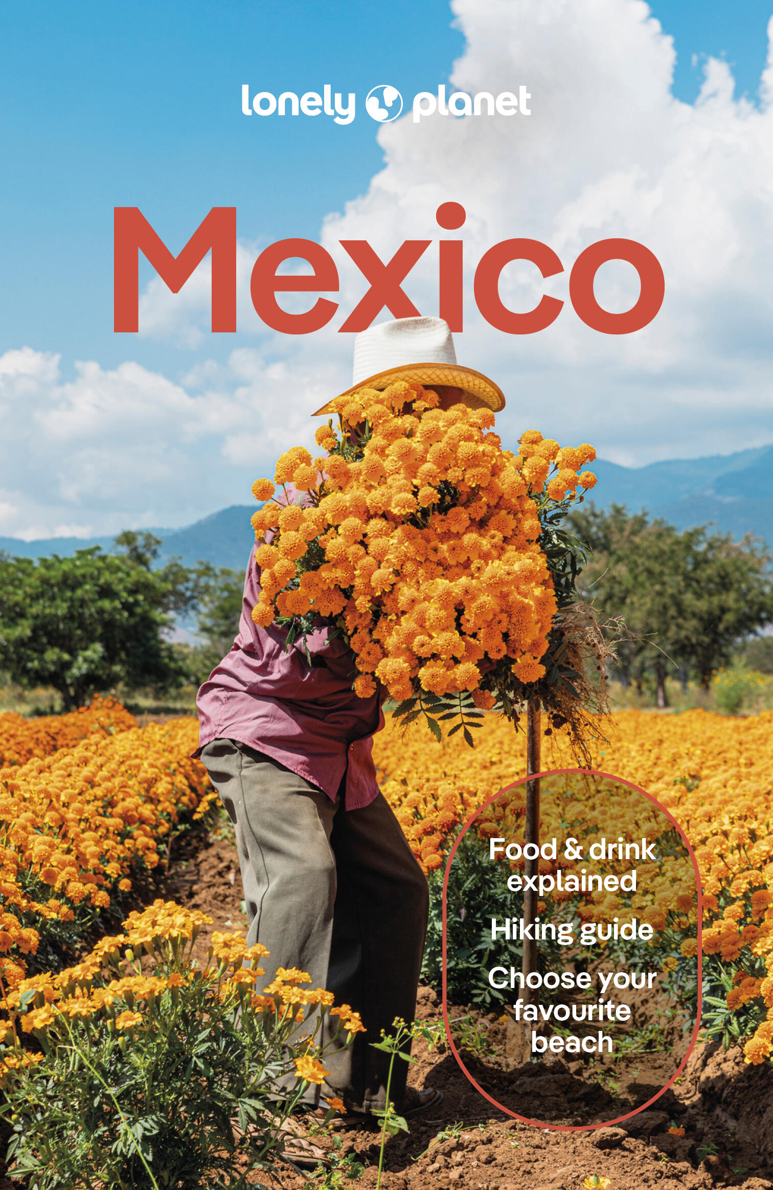 Lonely Planet Mexico 19 19th Ed. by Joel Balsam