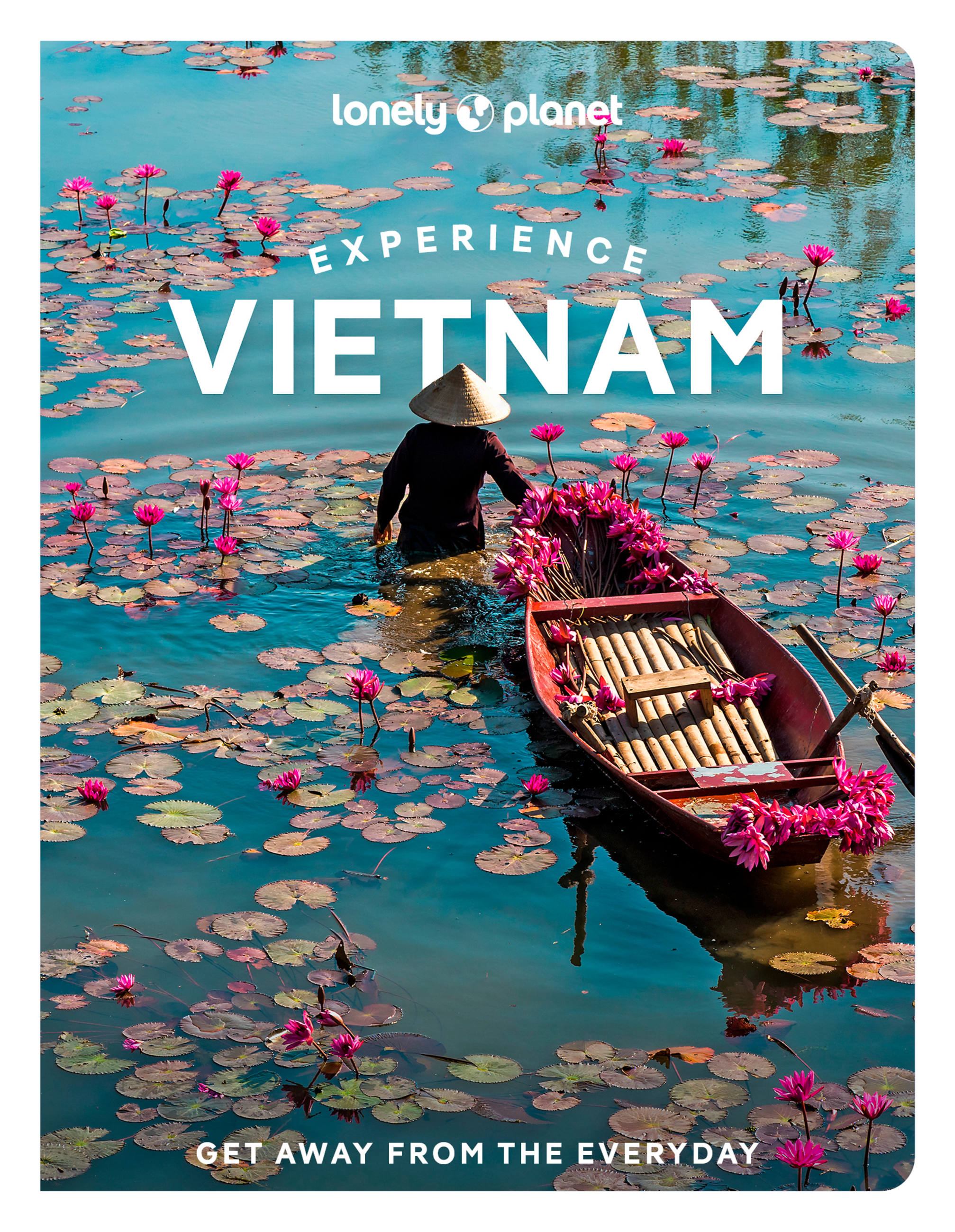Lonely Planet Experience Vietnam by James Pham