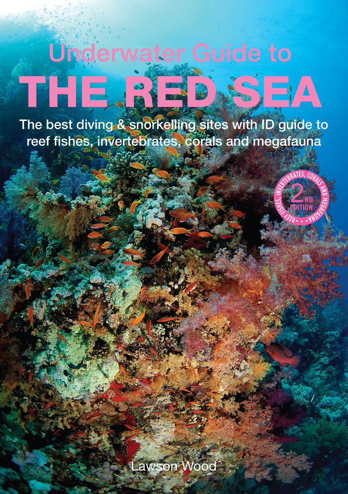 An Underwater Guide to the Red Sea by Lawson Wood
