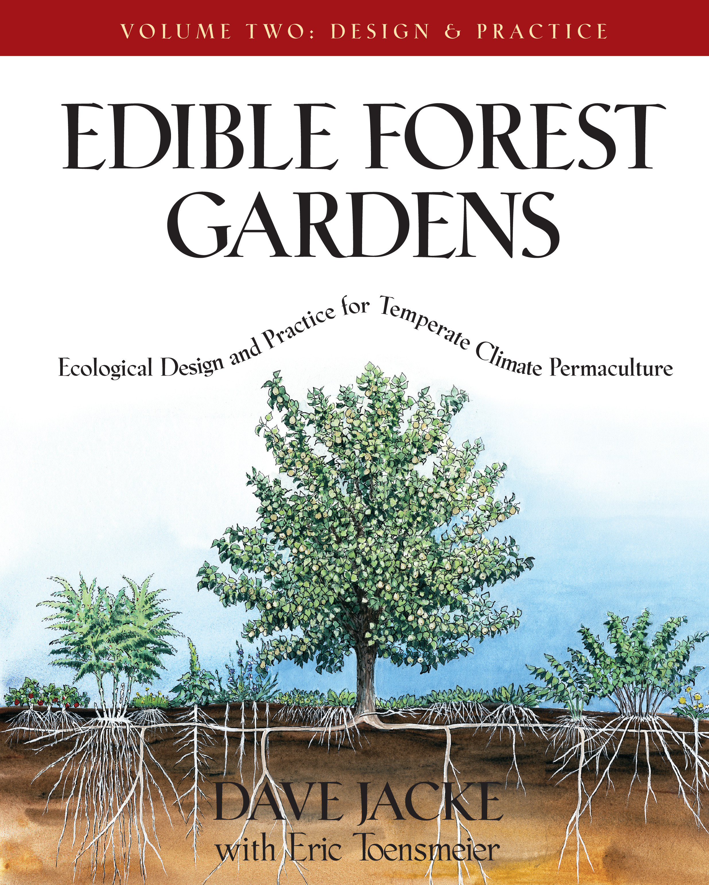 Edible Forest Gardens, Volume II by Dave Jacke