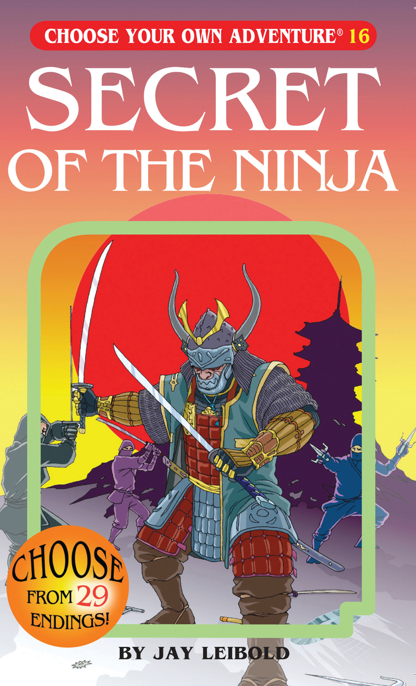 Secret of the Ninja by Jay Leibold