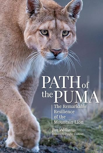 Path of the Puma by Jim Williams