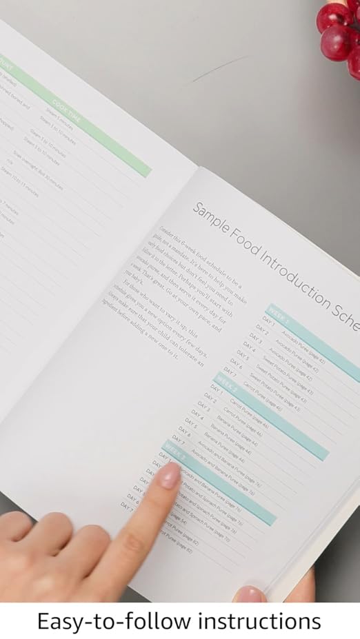 The Big Book of Organic Baby Food by Stephanie Middleberg MS RD CDN