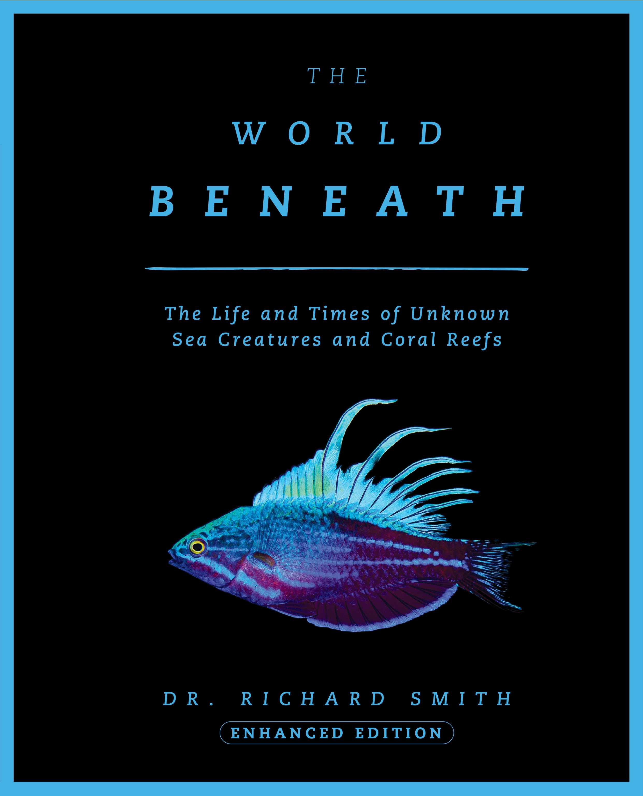 The World Beneath by Richard Smith