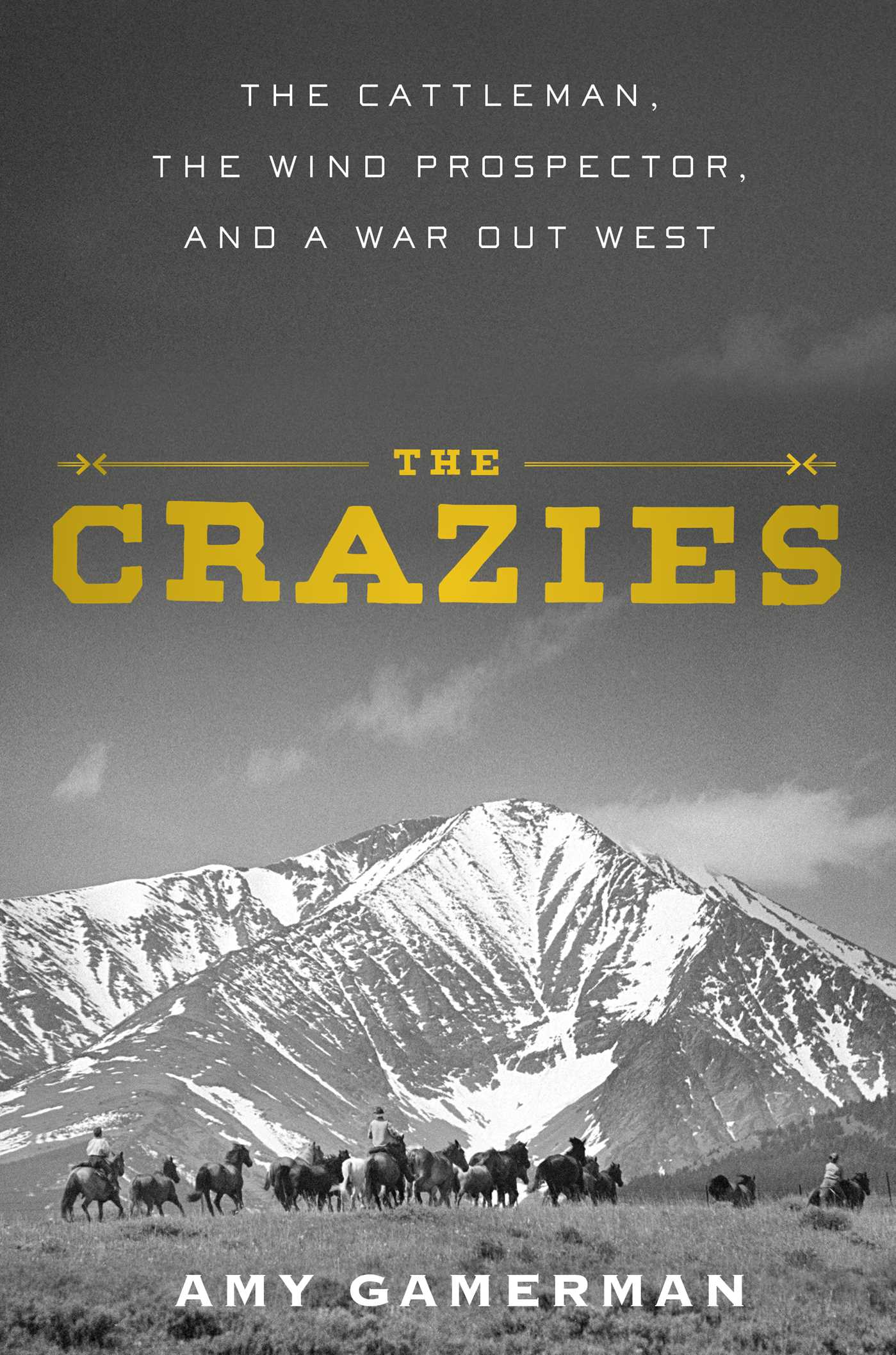 The Crazies by Amy Gamerman