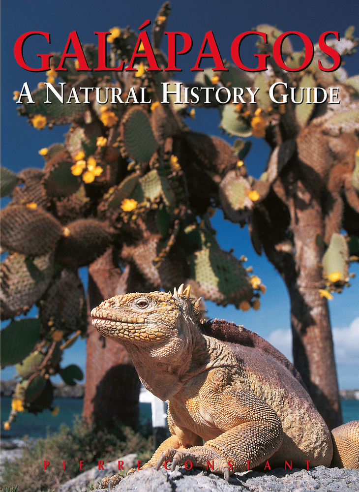 Galapagos by Pierre Constant