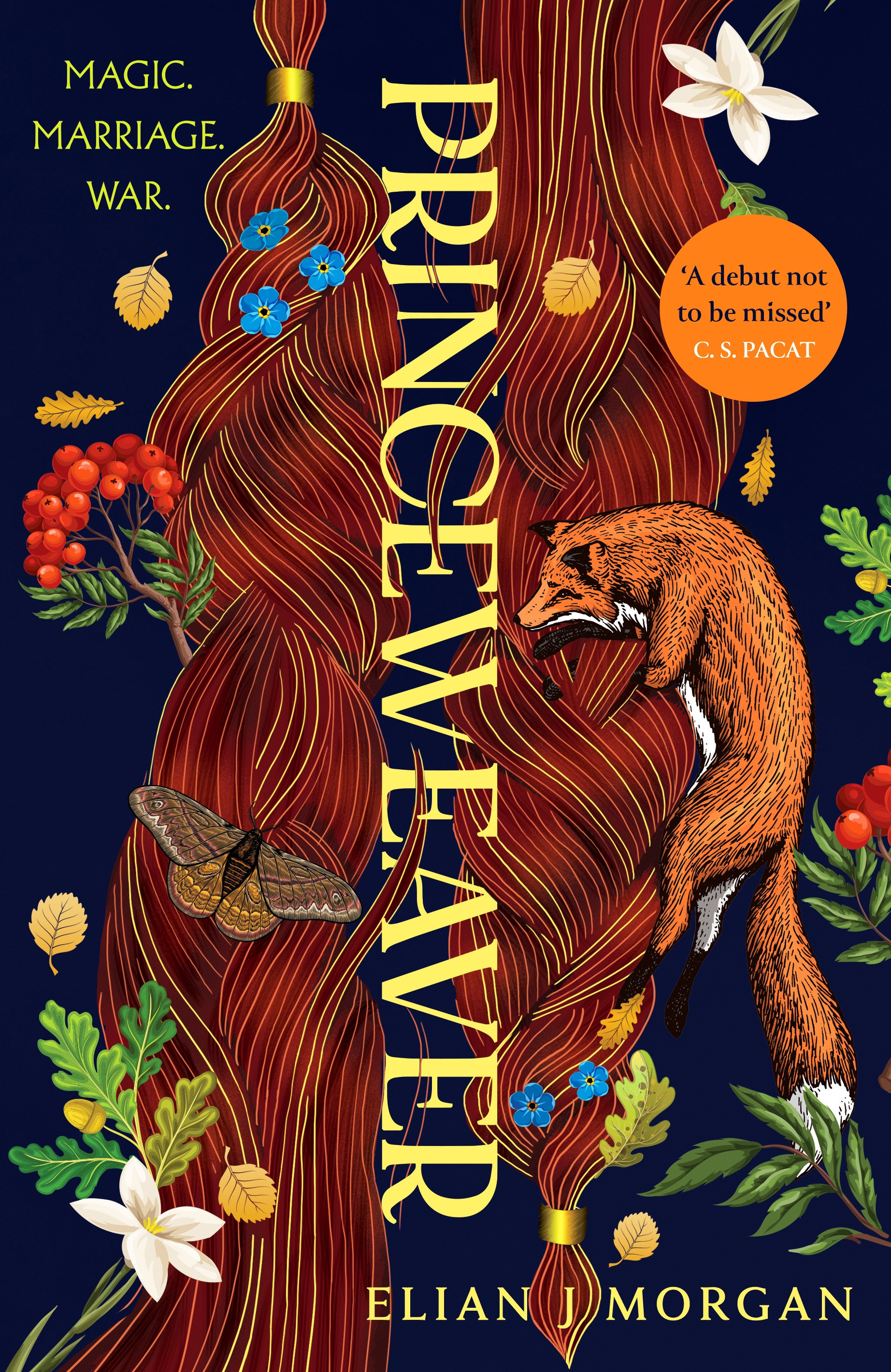 Princeweaver by Elian J Morgan