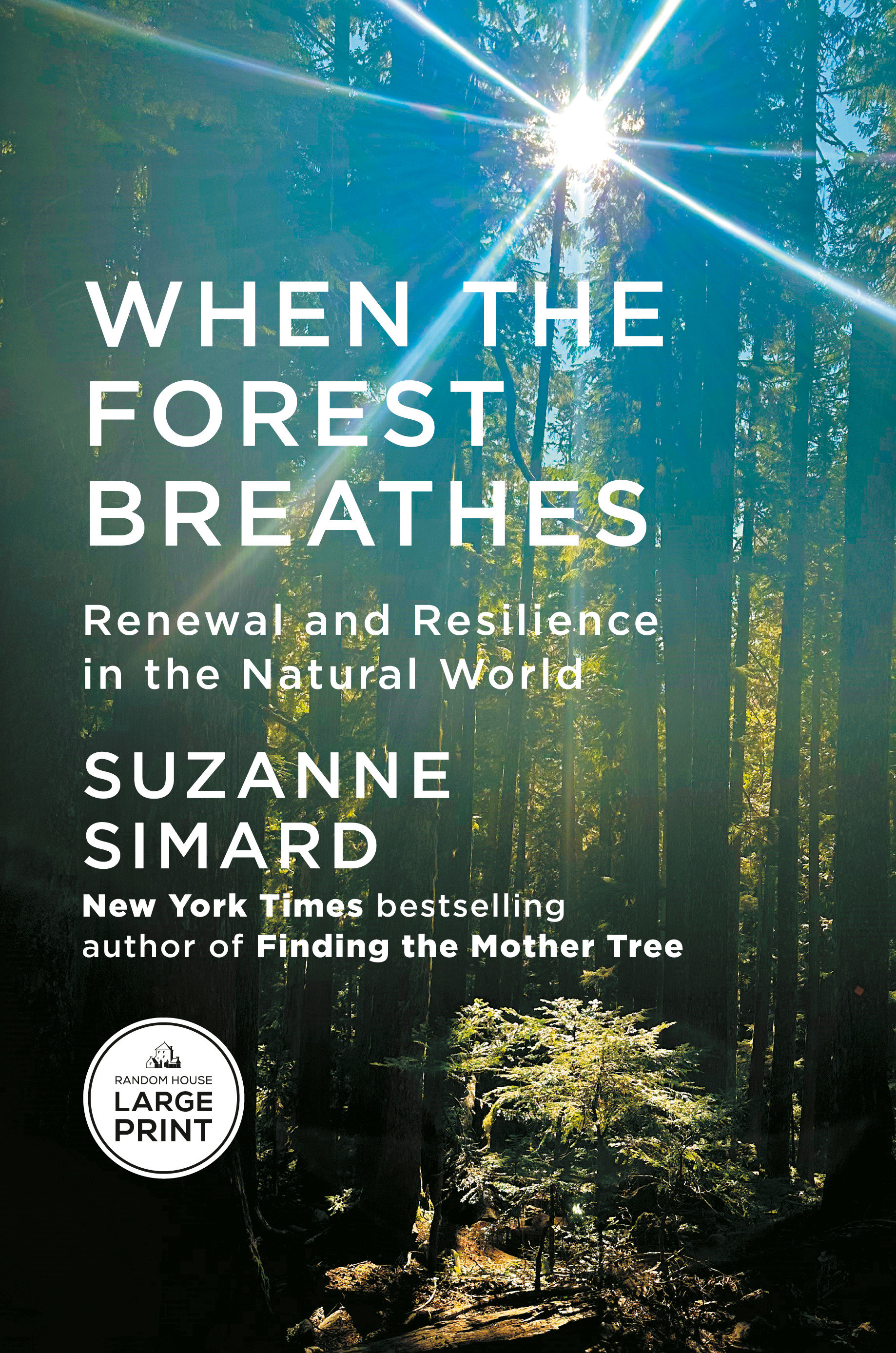 When the Forest Breathes by Suzanne Simard