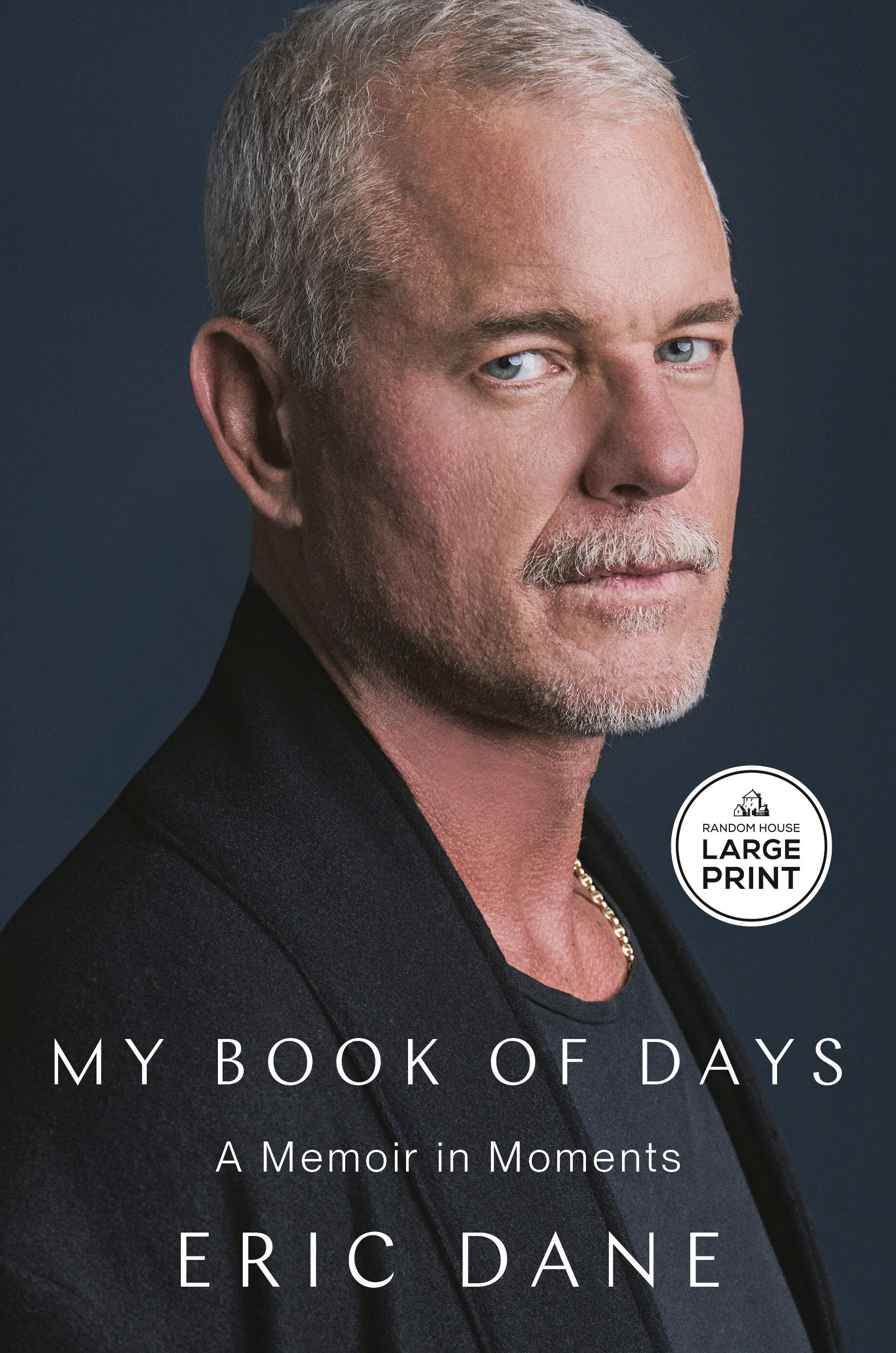 My Book of Days by Eric Dane