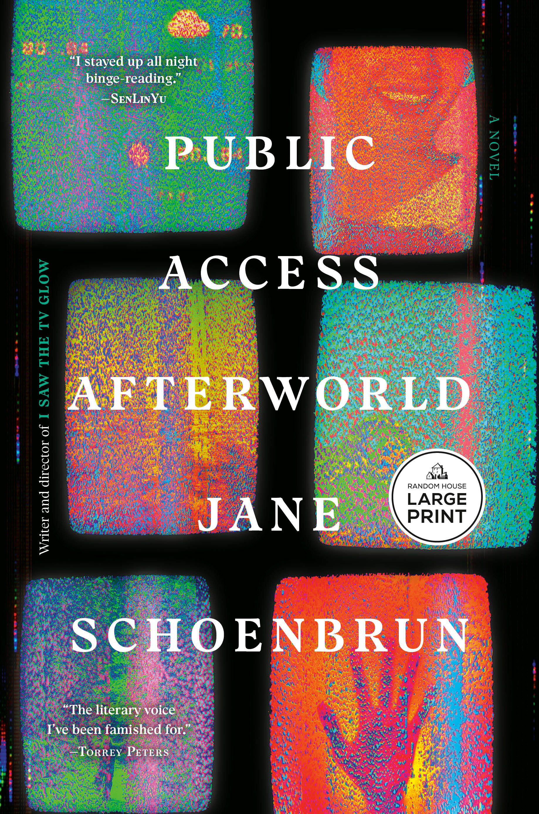 Public Access Afterworld by Jane Schoenbrun