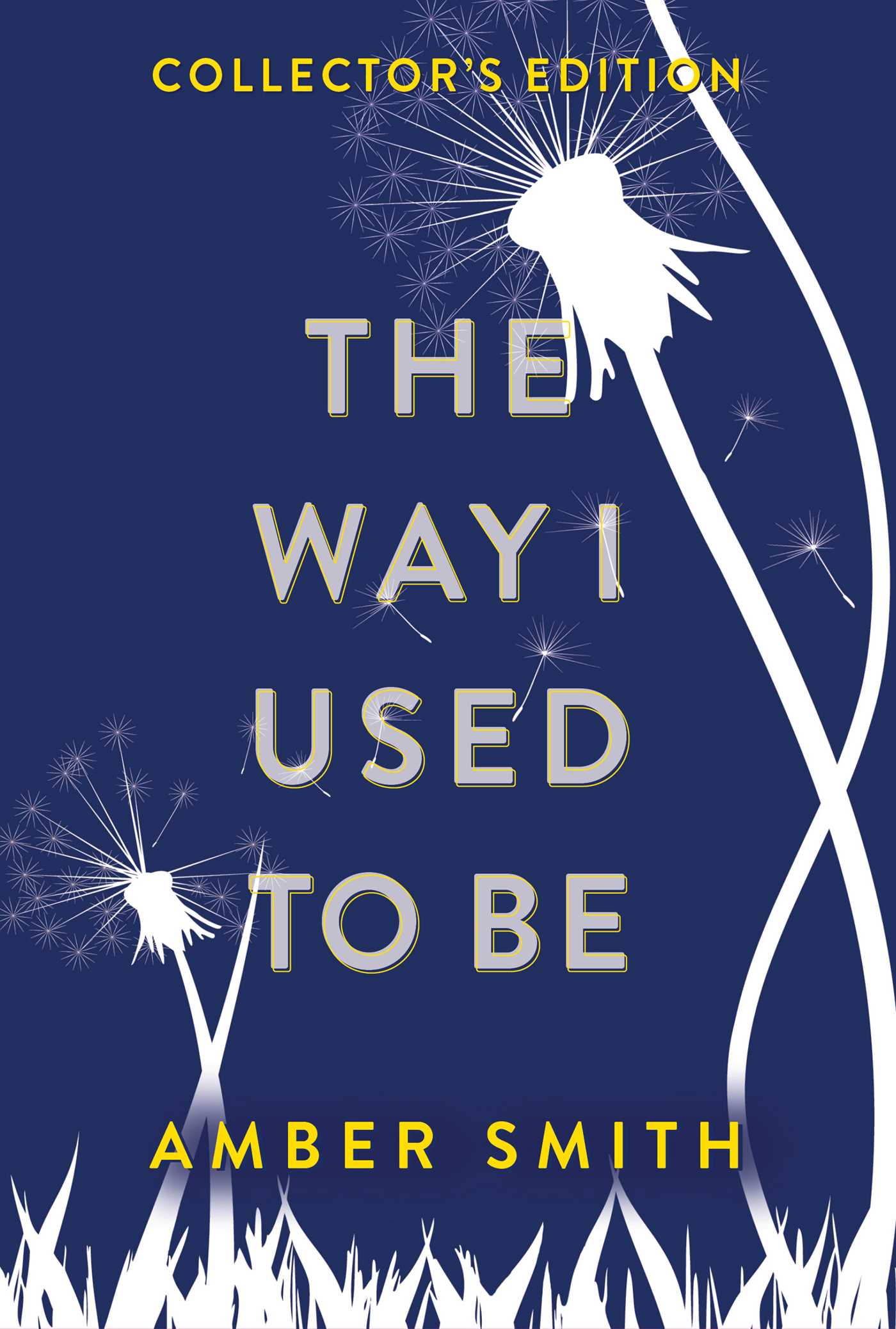 The Way I Used to Be by Amber Smith