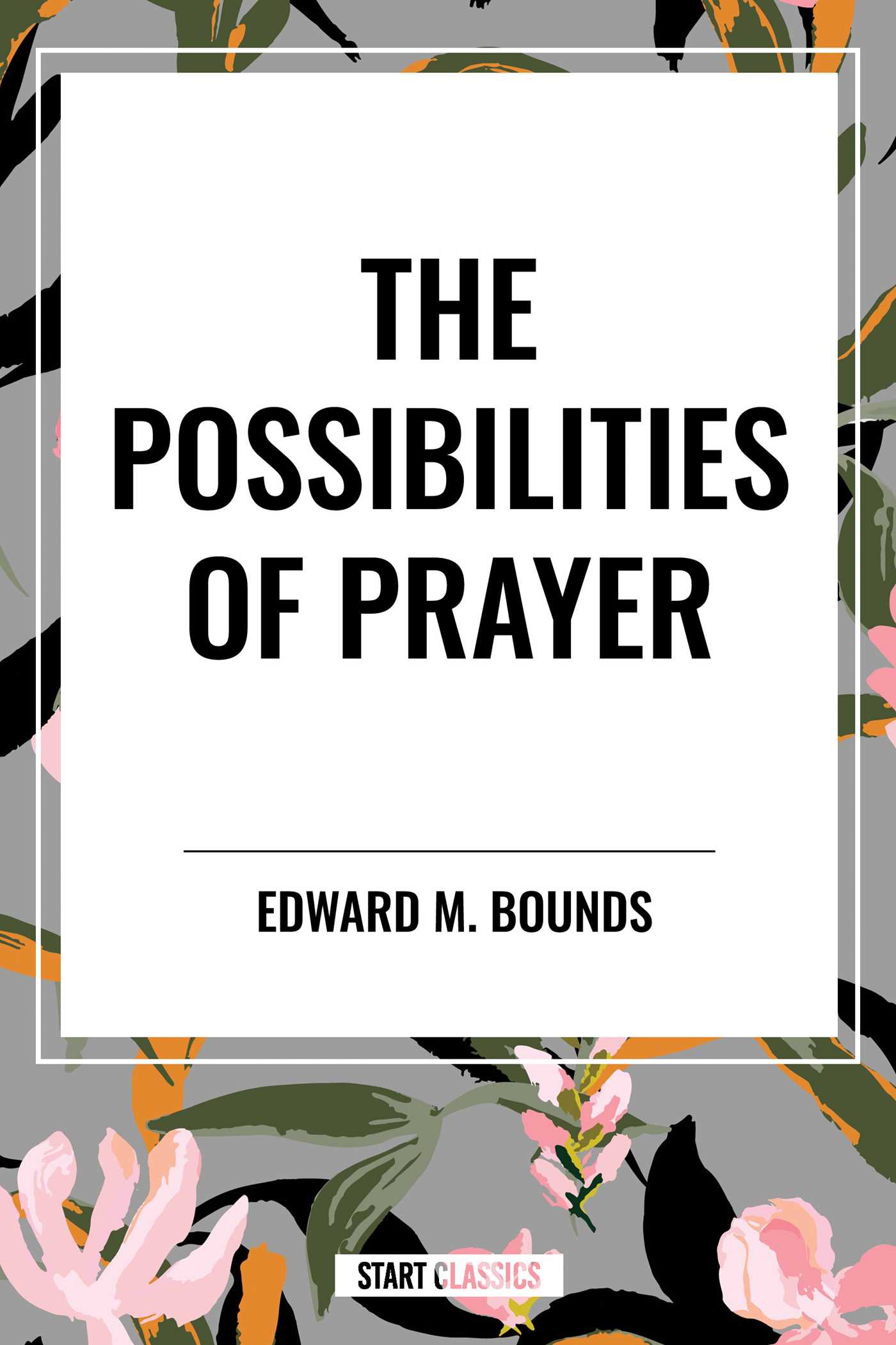 Cover of Possibilities of Prayer