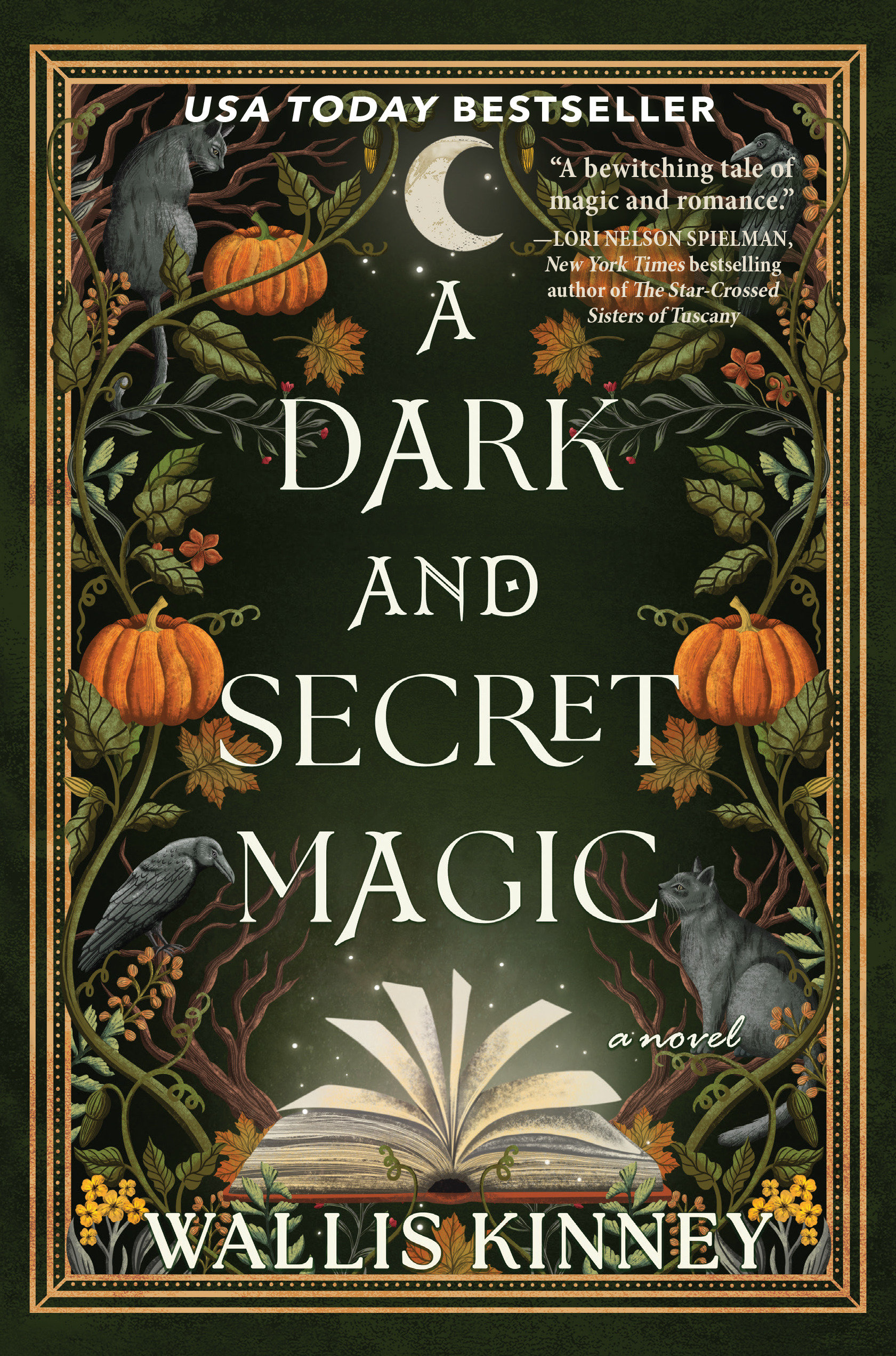A Dark and Secret Magic by Wallis Kinney