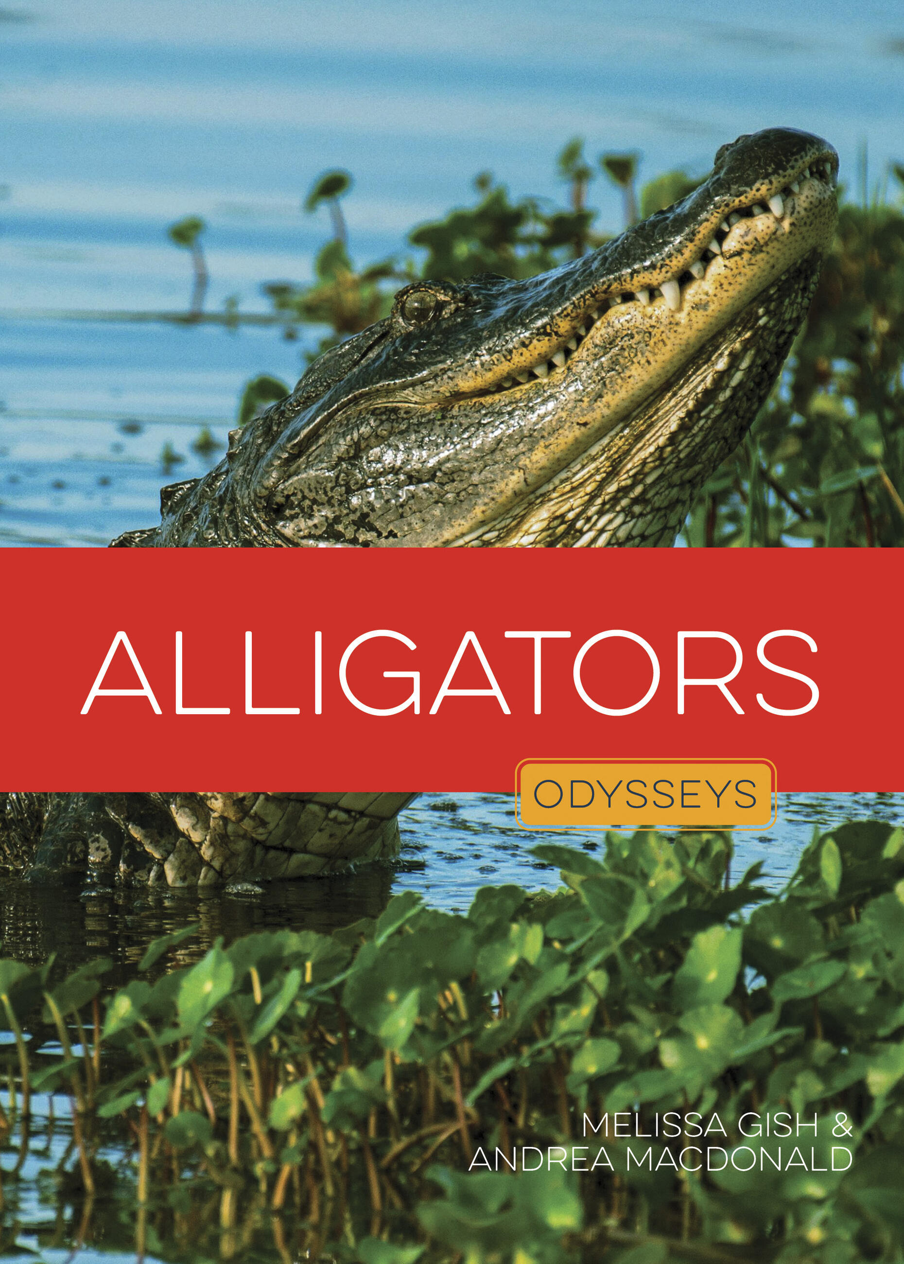 Alligators by Melissa Gish
