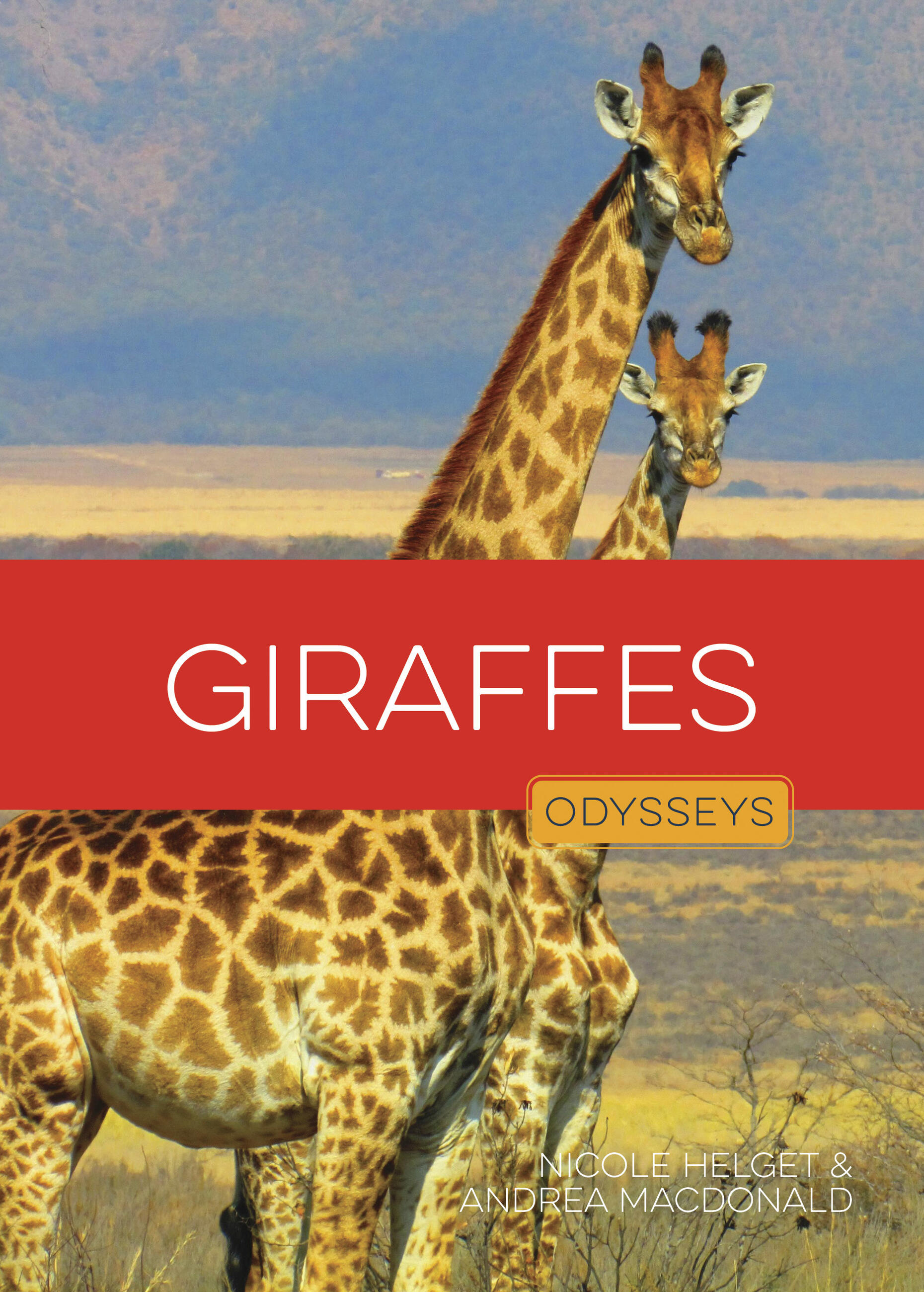 Giraffes by Nicole Helget