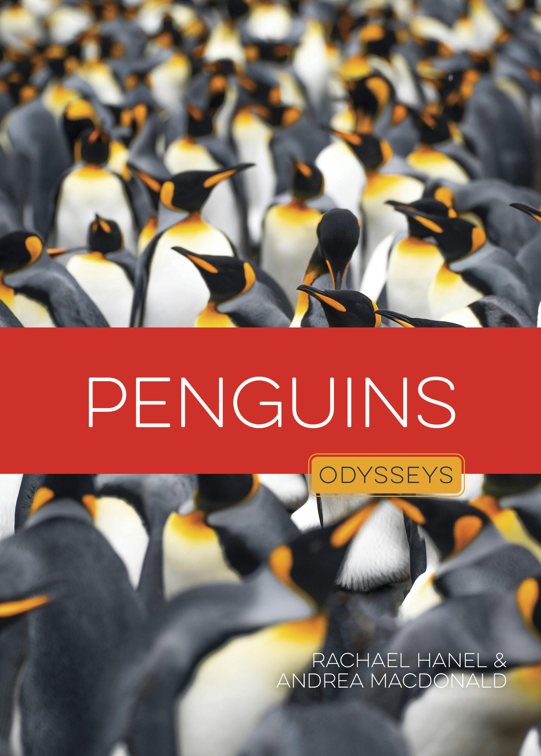 Penguins by Rachael Hanel
